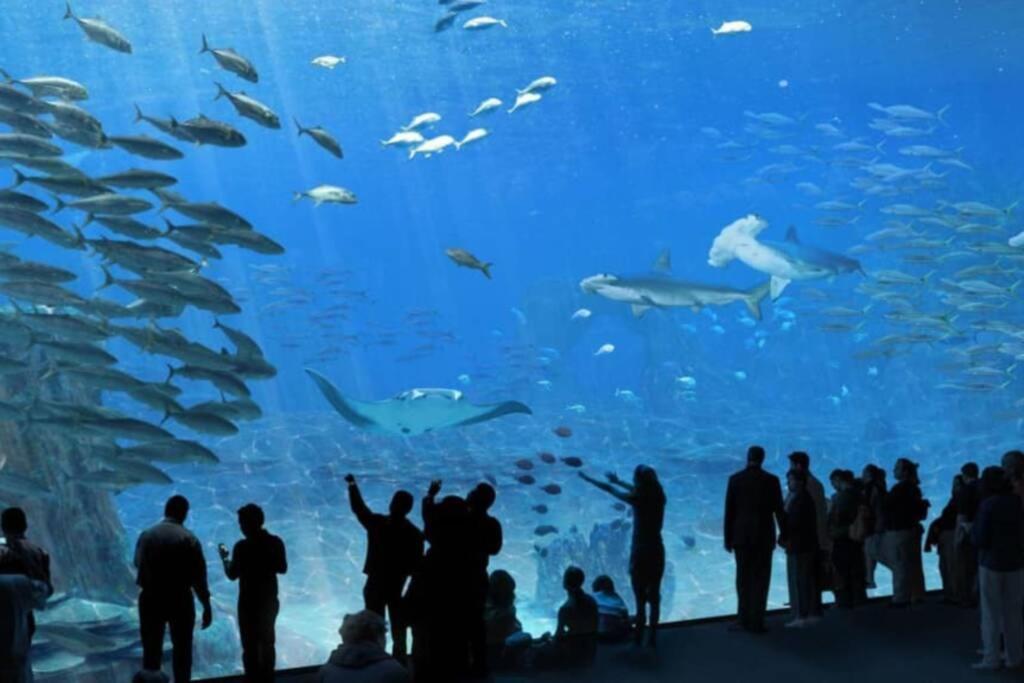 La Perle Marine :Boulogne Sur Mer Экстерьер фото